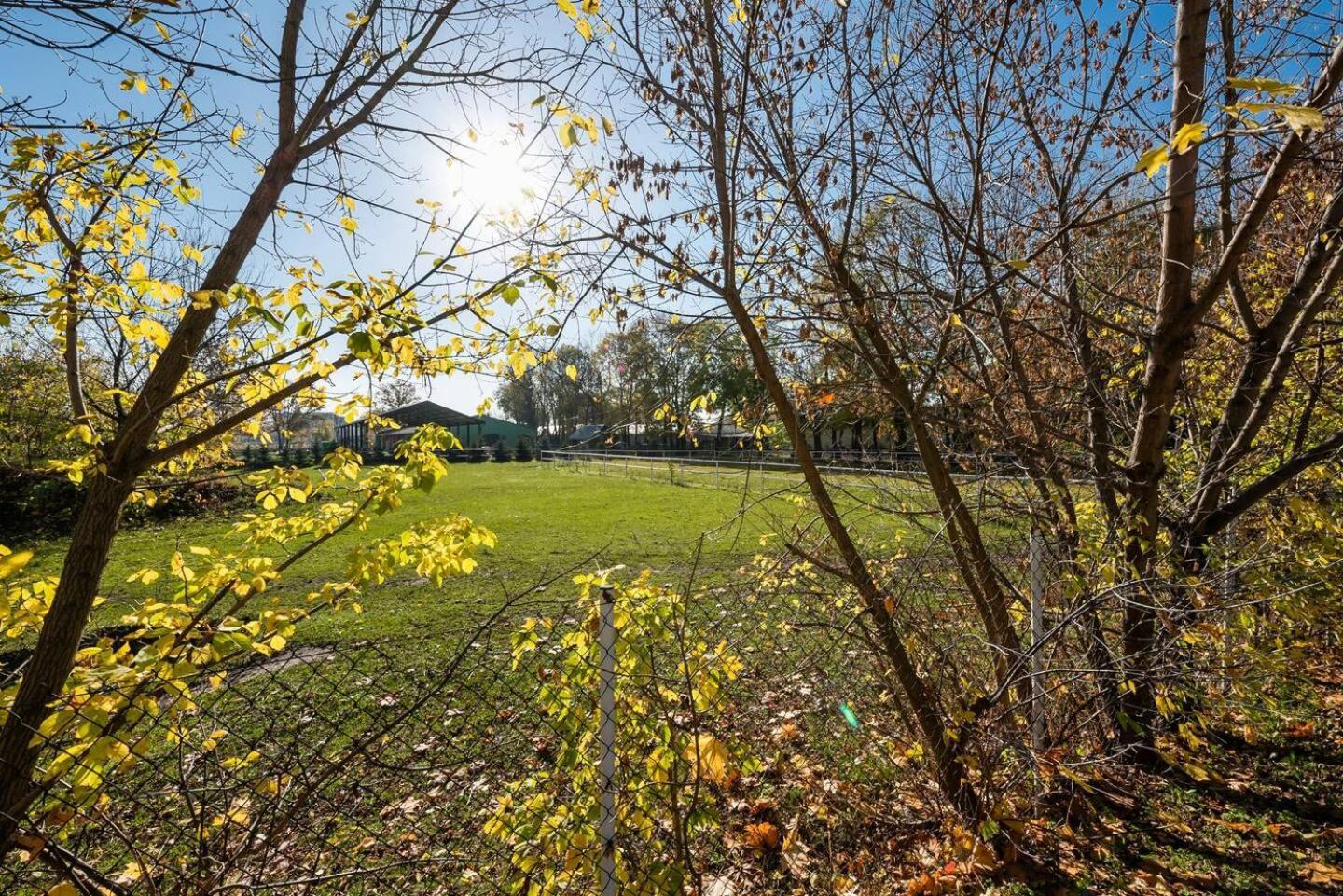 Apartment Zielone Zacisze